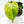 Monstera Deliciosa Aurea Variegated (Large Form) (wk36-B)