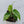 Monstera Siltepecana Aurea Variegated (wk33-G)