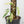 RPF Self-Watering Stackable Moss Poles (Set of 2)