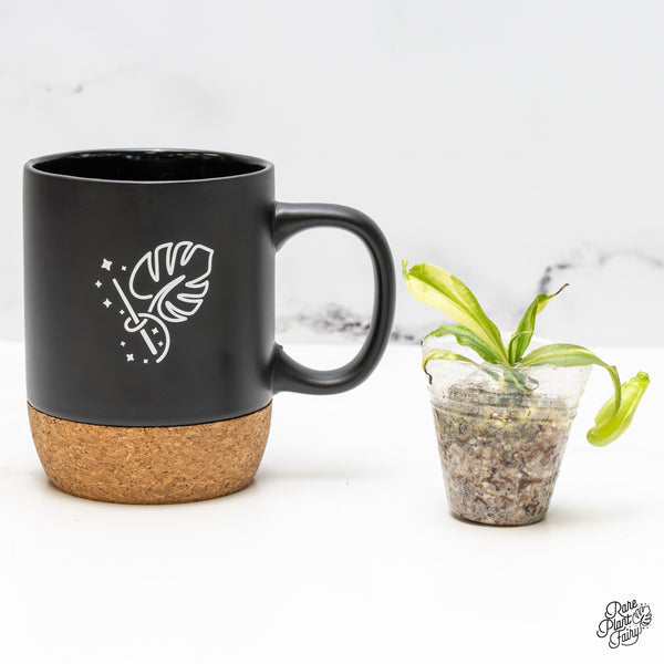 Nepenthes Mirabilis Variegated (wk51-I)