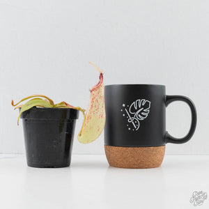Nepenthes x dyeriana (Tropical Pitcher Plant)