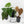 Anthurium sp. 'RPF Living Wall' Phantom