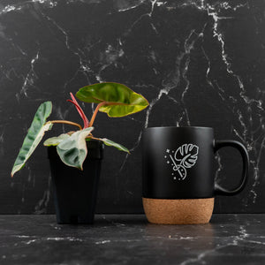 Philodendron 'Billietiae' albo variegated (wk43-U63)