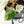 Philodendron 'Billietiae' albo variegated (wk36-U63)