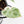 Philodendron 'Billietiae' albo variegated (wk37-U68)