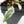 Philodendron 'Billietiae' albo variegated (wk37-U68)