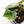 Philodendron Brandtianum Variegated (wk26-D)