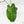 Philodendron 'Burle Marx Snow’ (wk17-K)