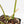 Philodendron 'Burle Marx Snow’ (wk17-K)
