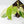 Philodendron 'Burle Marx Snow’ (wk19-L)
