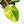 Philodendron Erubescens 'White Wizard Aurea' (wk21-P)