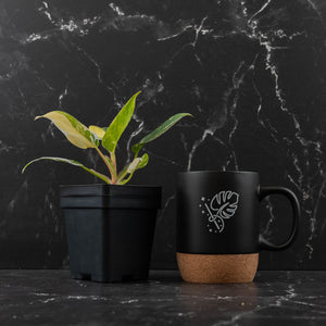 Philodendron Erubescens 'White Princess Aurea' (wk43-L244)