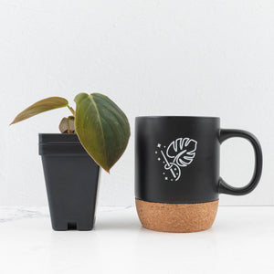 Philodendron Gigas Variegated (wk32-UI)