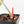 Philodendron Gloriosum Albo Variegated *Type 1* (wk26-UK)