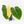 Philodendron Gloriosum Albo Variegated *Type 1* (wk32-UD)