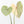 Philodendron Gloriosum Albo Variegated *Type 1* (wk32-UD)