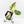Philodendron Gloriosum Marble Pink Variegated *Type 4* (wk35-U50)