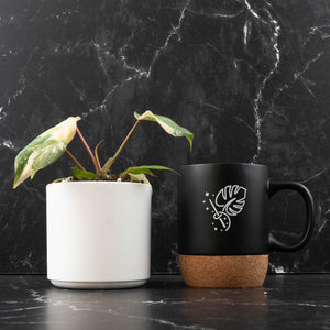 Philodendron Gloriosum Variegated Type 2