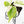 Philodendron Hederaceum Albo Variegated 