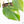 Philodendron Hederaceum Albo Variegated 