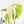 Philodendron Hederaceum Albo Variegated 