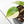 Philodendron Hederaceum Albo Variegated 