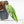 Philodendron Ilsemanii *Kunzo Lineage* (wk18-I)