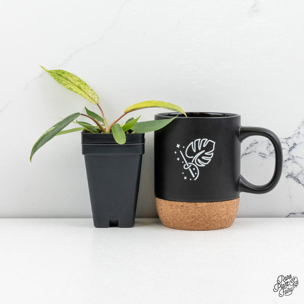 Philodendron Joepii variegated *Grower's choice*