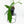 Philodendron longilobatum ‘Lelano Miyano’ (wk32-H)