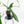 Philodendron longilobatum ‘Lelano Miyano’ (wk32-H)