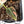 Philodendron melanochrysum orange variegated (wk33-U27)