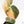 Philodendron melanochrysum orange variegated (wk23-UF)