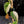 Philodendron Micans Albo/Pink Variegated (wk44-L406)