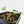 Philodendron Micans Albo/Pink Variegated (wk26-C)