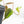 Philodendron Micans Albo/Pink Variegated (wk28-F)