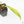 Philodendron Quercifolium 'Glad Hands' Variegated (wk28-UH)