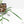Philodendron polypodioides (wk25-A)