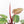 Philodendron 'Prince of Orange' Variegated (wk16-R)