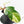 Philodendron Squamiferum Albo Variegated (wk34-U38)