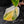 Philodendron Erubescens 'White Knight Aurea' (wk43-L118)