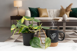 Black mug with a plant design next to a potted plant on a white surface