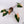 Philodendron 'Dark Lord' Variegated (wk33-V)