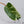 Philodendron 'Emerald Ice' (wk33-K)