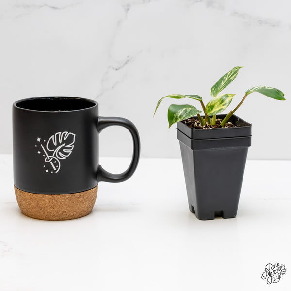 Philodendron 'Emerald King' (wk5-F)