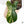 Philodendron 'Florida Beauty' x Mayoi (wk37-E)