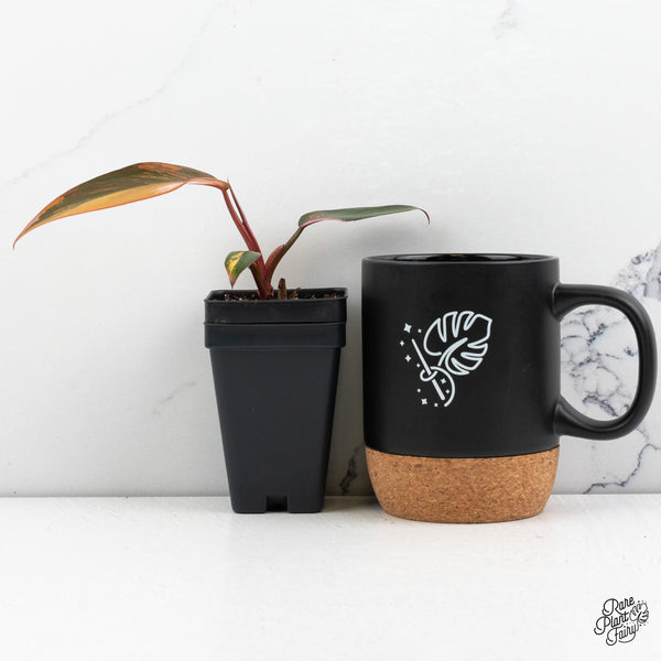 Philodendron 'Princess of Fire' (wk52-A)