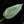 Philodendron 'Silver Sword' Variegated (wk32-L)