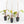 Philodendron 'Strawberry Shake'  *Grower's Choice*