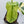 Philodendron Bipennifolium Variegated 'Violin' (aka Horse Head Philo) (wk34-F)