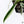 Philodendron 'Tortum' Albo Variegated (wk36-O)